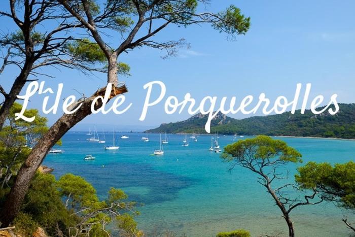 Superbe Logement Au Bord Des Plages Toulon Exteriör bild